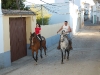 www.torrejoncillotodonoticias.com_romeria_chica_-_2009_0040