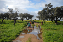 Ruta Senderista \"Torrejoncillo - El Palancar\"