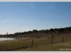 dsc_8531_2144x1424