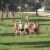 Varios podiums de los torrejoncillanos en la XLV Cross de la Encamisa y en la Media Maratón de Jarandilla de la Vera (Contiene Galería)