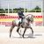 Pedro Emilio Serrano vuelve a ganar en el Concurso Nacional de Doma Cl&aacute;sica de Ecuextre en la Feria del Toro y el Caballo de Badajoz