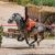 Torrejoncillano en Puy du Fou