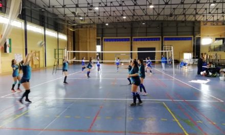 Cara y cruz para los equipos de Voleibol torrejoncillanos