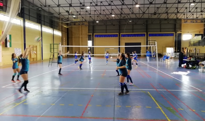 Cara y cruz para los equipos de Voleibol torrejoncillanos