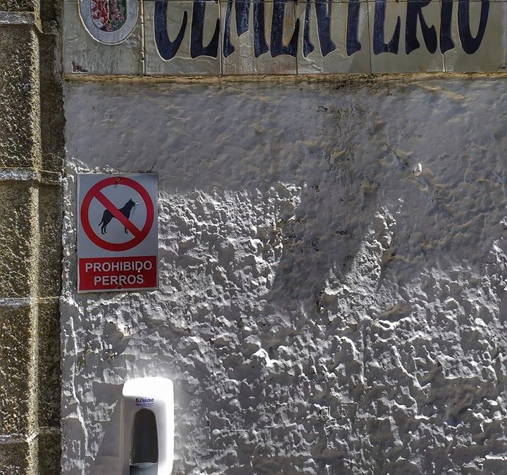 Dispensadores de gel desinfectante en lugares públicos