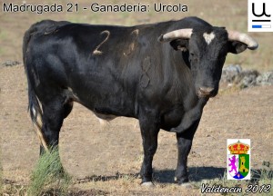 Los toros de las Fiestas de Valdencín 2012
