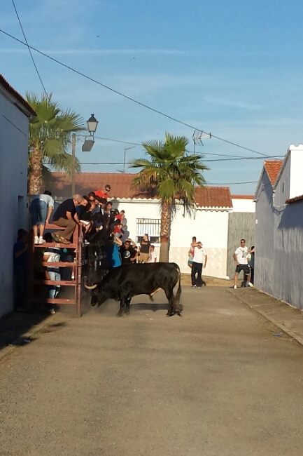 Las fiestas de Valdencín 2014 vistas «a toro pasado»