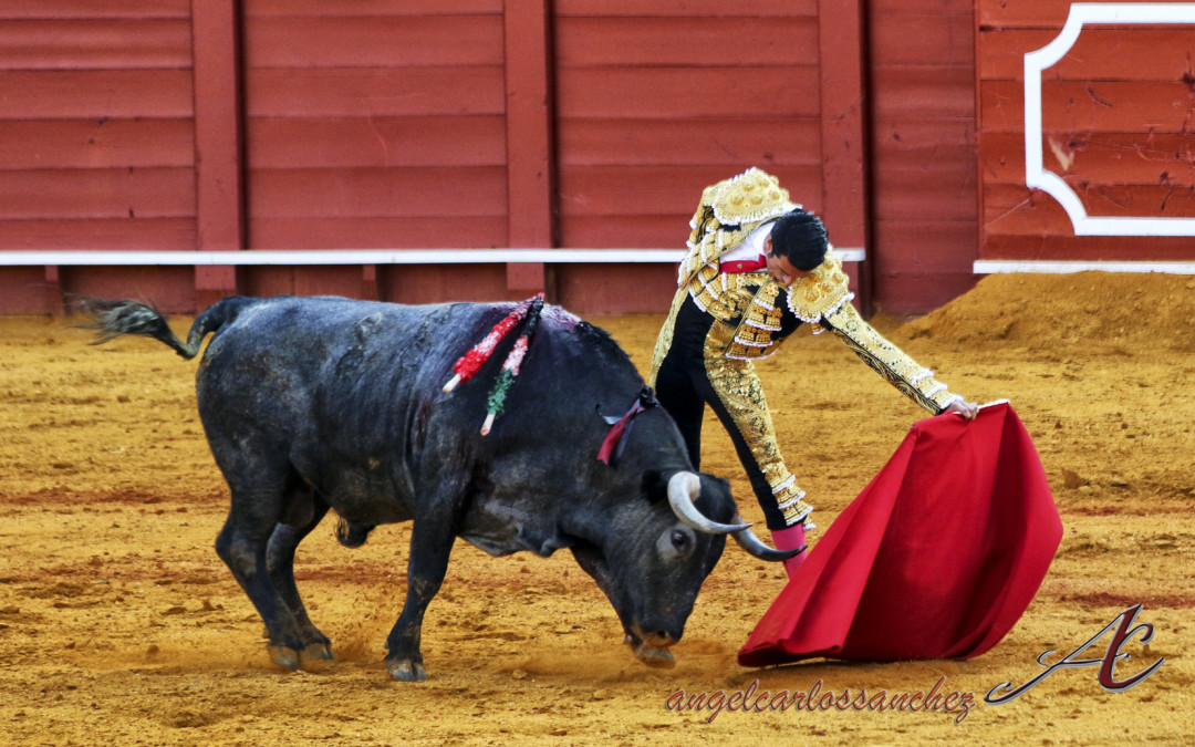 DE JUSTO TIENE UN COLOR ESPECIAL