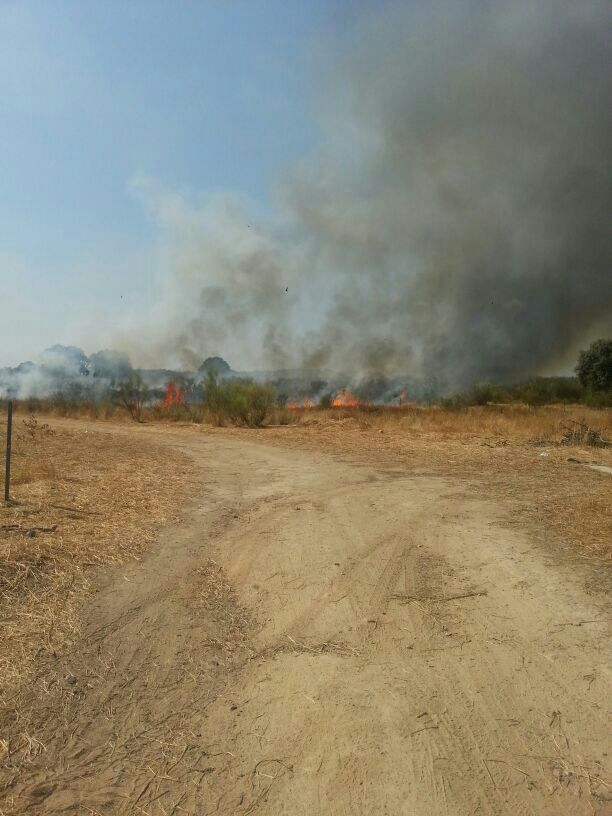 Segundo incendio en Torrejoncillo en las últimas 24 horas