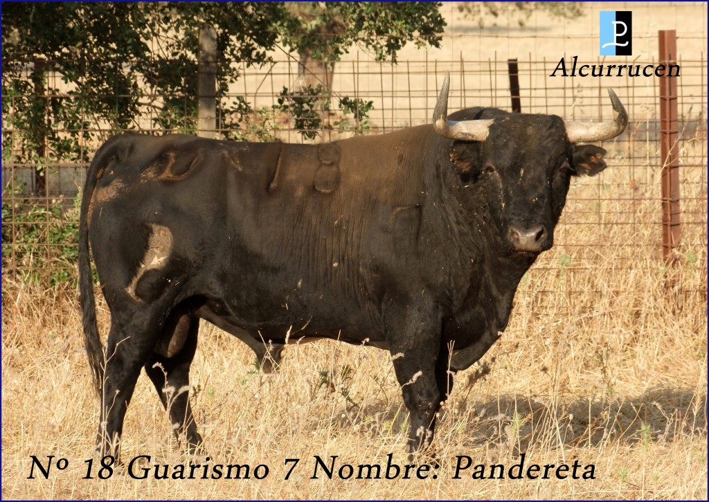 18 G7 PANDERETA  ALCURRUCEN