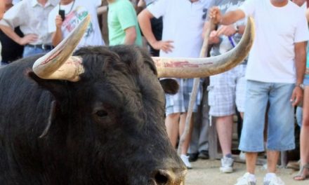 Concurso Fotográfico “Toros agosto 2018”