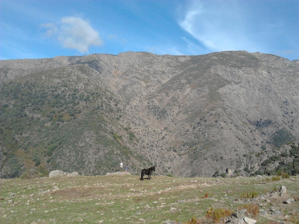 Paraje por el que transcurrirá la carrera - CEDIDA