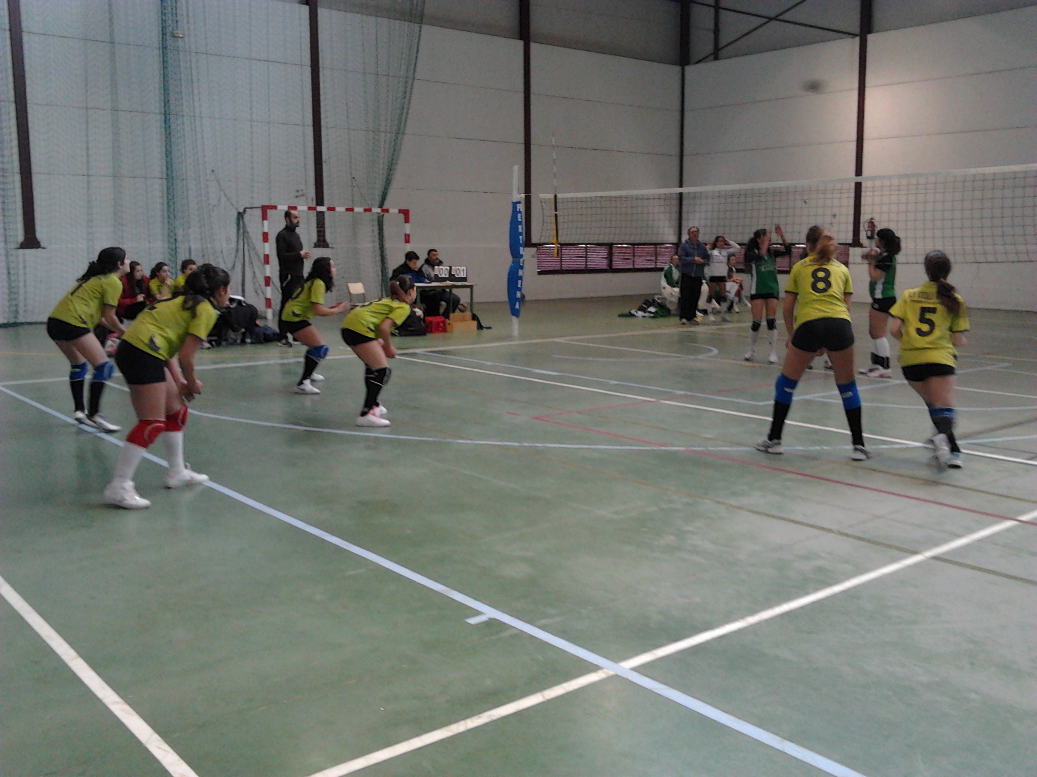 La ilusión no bastó a nuestras chicas de voley