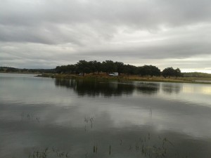 Mañana de pesca muy poco apacible la que acompañó al concurso - EQUIPO EMBRAU