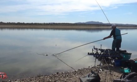 Celebrado el Campeonato de Extremadura de Pesca en Torrejoncillo