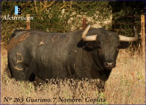 El cartel de las Fiestas de Agosto 2013