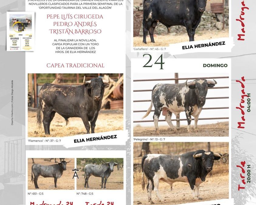 Vuelven las Fiestas de Valdencin