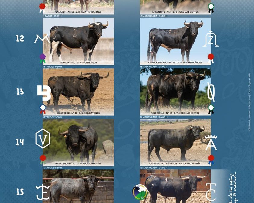 Fiestas de Agosto de Torrejoncillo, “Las calles de la emoción”