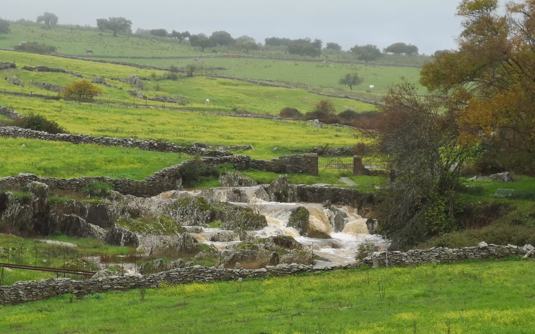 43,3 litros por metro cuadrado de lluvia en los últimos siete días