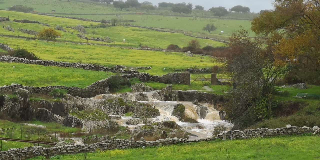 43,3 litros por metro cuadrado de lluvia en los últimos siete días