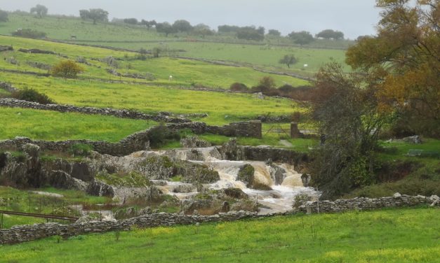 43,3 litros por metro cuadrado de lluvia en los últimos siete días