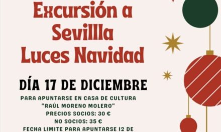 Excursión a Sevilla de la Asociación Amas de Casa