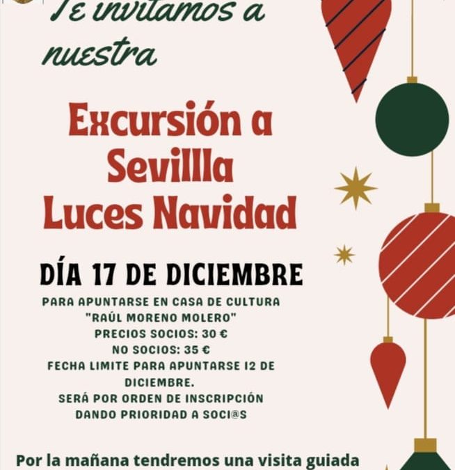 Excursión a Sevilla de la Asociación Amas de Casa
