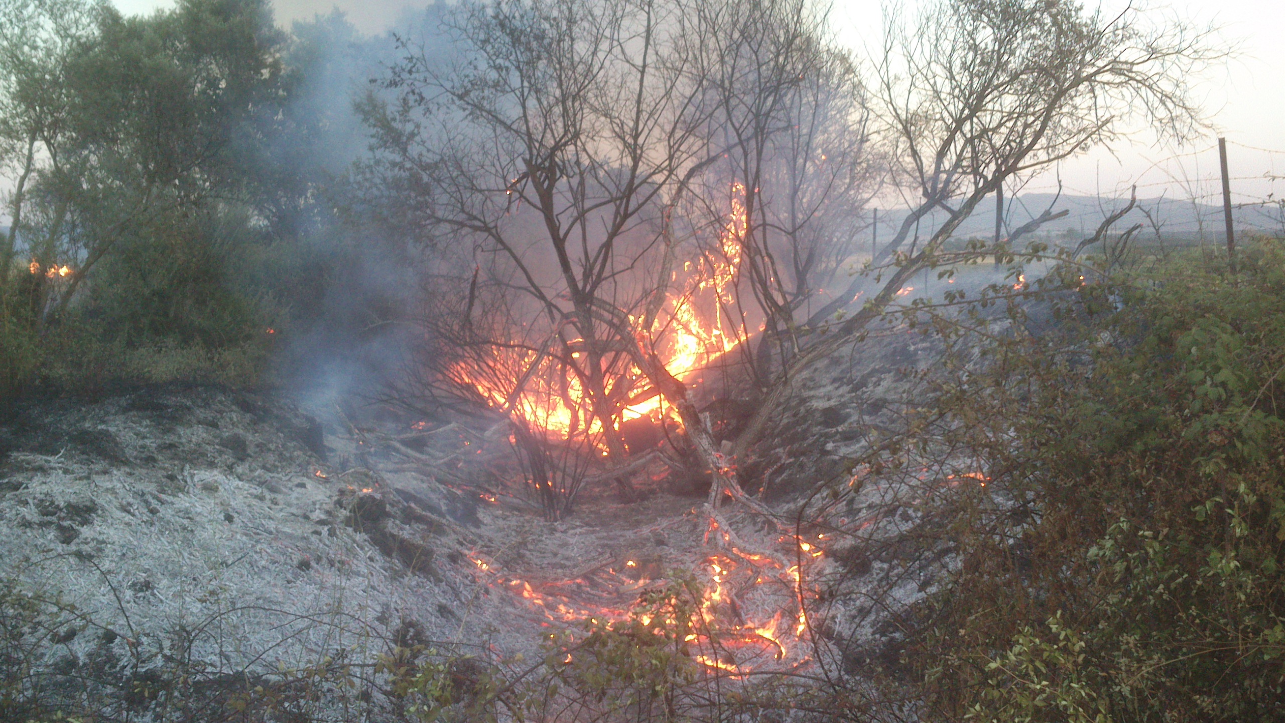 Tercer fuego de este verano en la zona de las Viñas de las Amargas