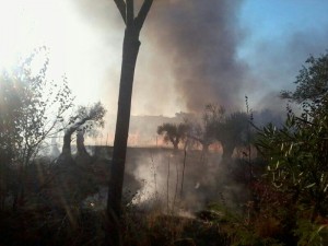 Incendio a las puertas del cementerio