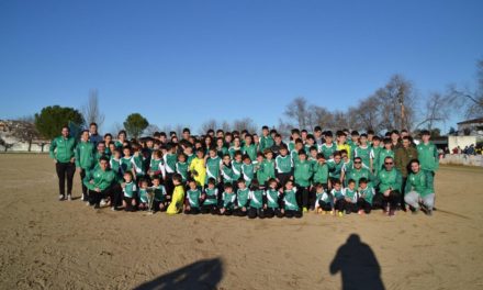 Todas las categorías del AD Torrejoncillo ganan menos una