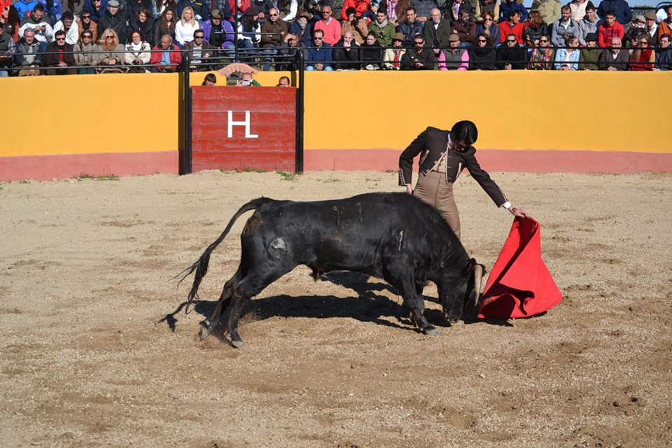 Un festival taurino de 10