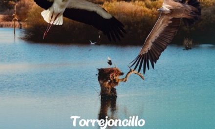 TORREJONCILLO EN FIO 2023