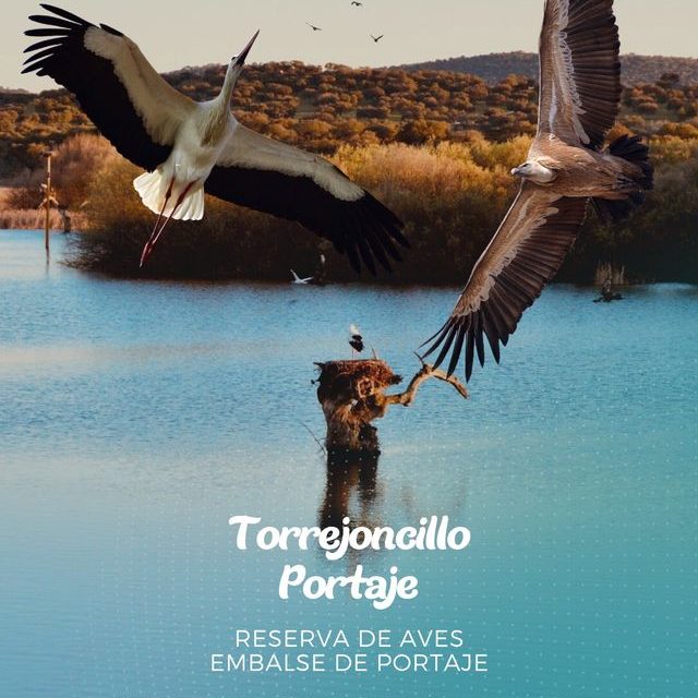 TORREJONCILLO EN FIO 2023