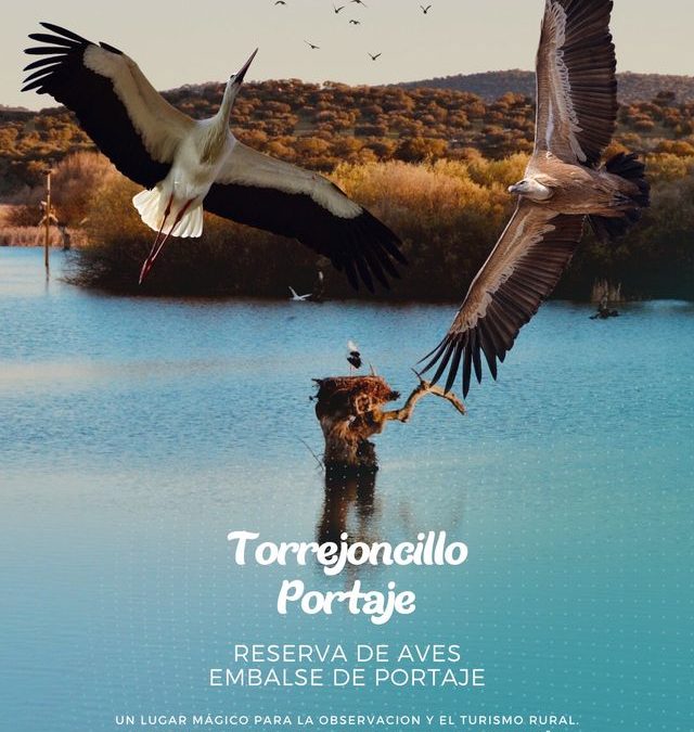 TORREJONCILLO EN FIO 2023