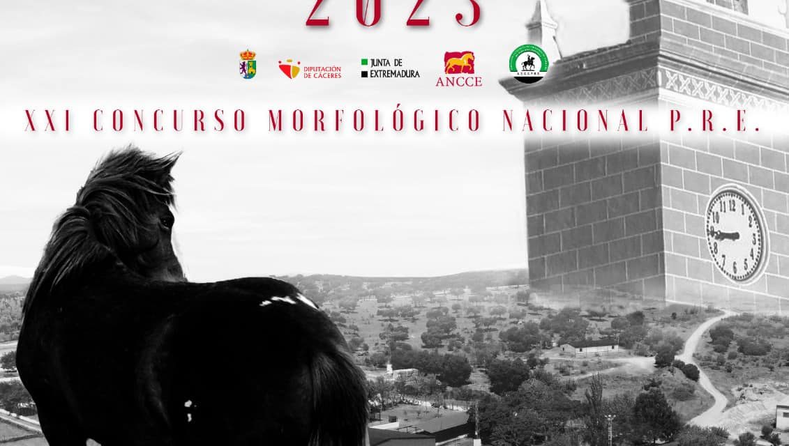 ECUESTRE TORREJONCILLO 2023 XXIV EDICIÓN