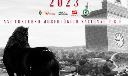 ECUESTRE TORREJONCILLO 2023 XXIV EDICIÓN