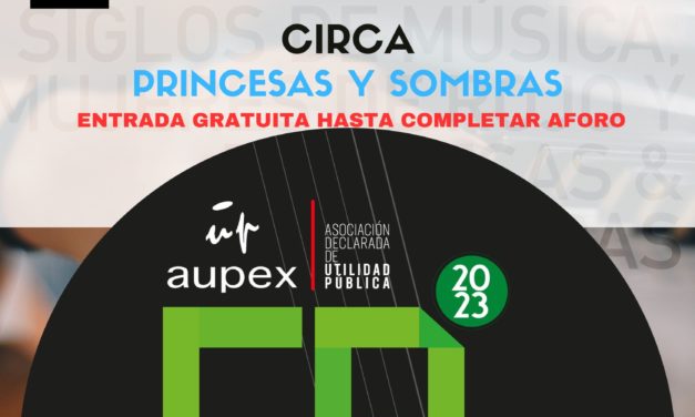 CONCIERTOS DIDACTICOS