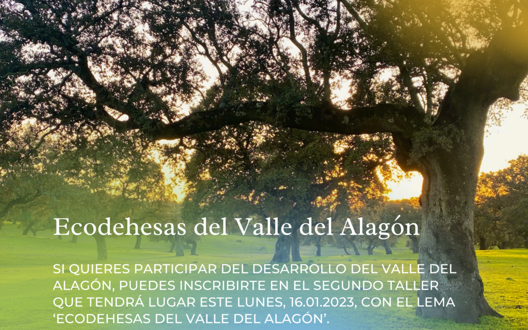 ADESVAL INFORMA