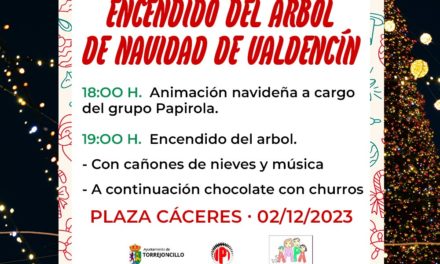 ENCENDIDO DEL ÁRBOL DE NAVIDAD DE VALDENCIN