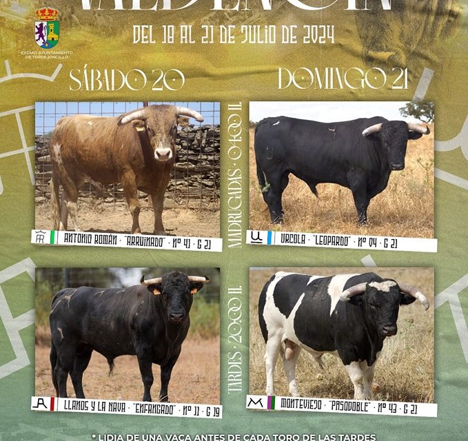 FIESTAS DE VALDENCÍN 2024