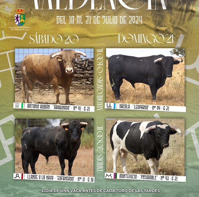 FIESTAS DE VALDENCÍN 2024