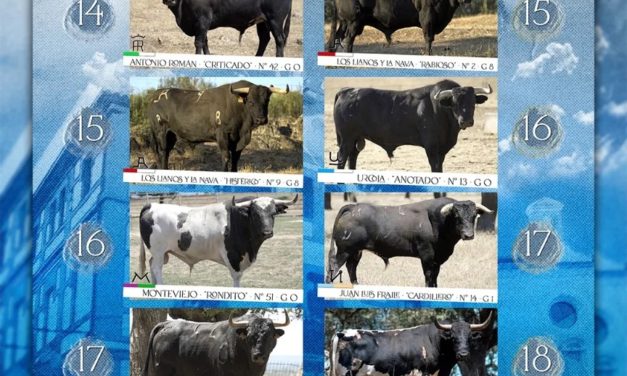 PROGRAMACIÓN DE LAS FIESTAS DE AGOSTO 2024