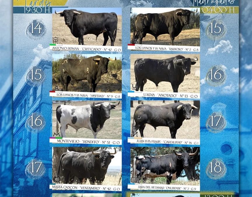 PROGRAMACIÓN DE LAS FIESTAS DE AGOSTO 2024