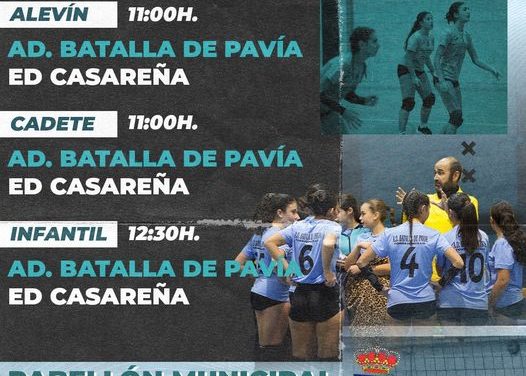 Este fin de semana vuelve el Voley al Pabellón, nos enfrentamos al ED Casereña