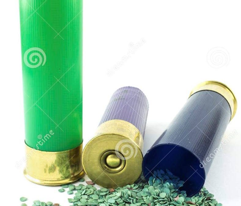 Dispensación de cartuchos para «La Encamisá»