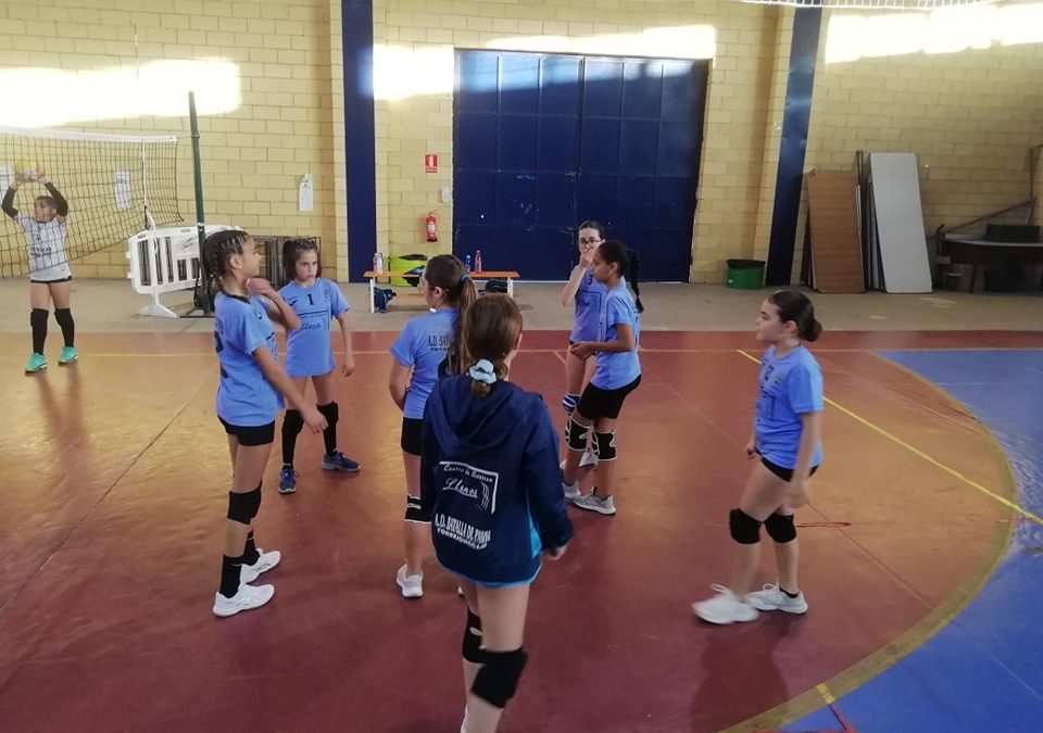 El pasado fin de semana comenzaba la competición para el AD Batalla de Pavía de Voley