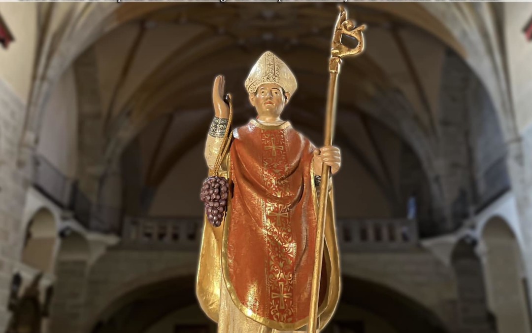 Fiestas en honor a San Albin 2025