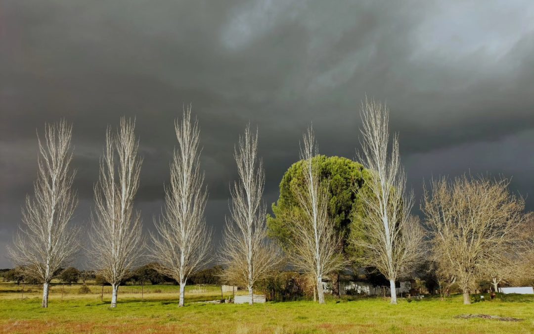 Las mejores imágenes del 2025