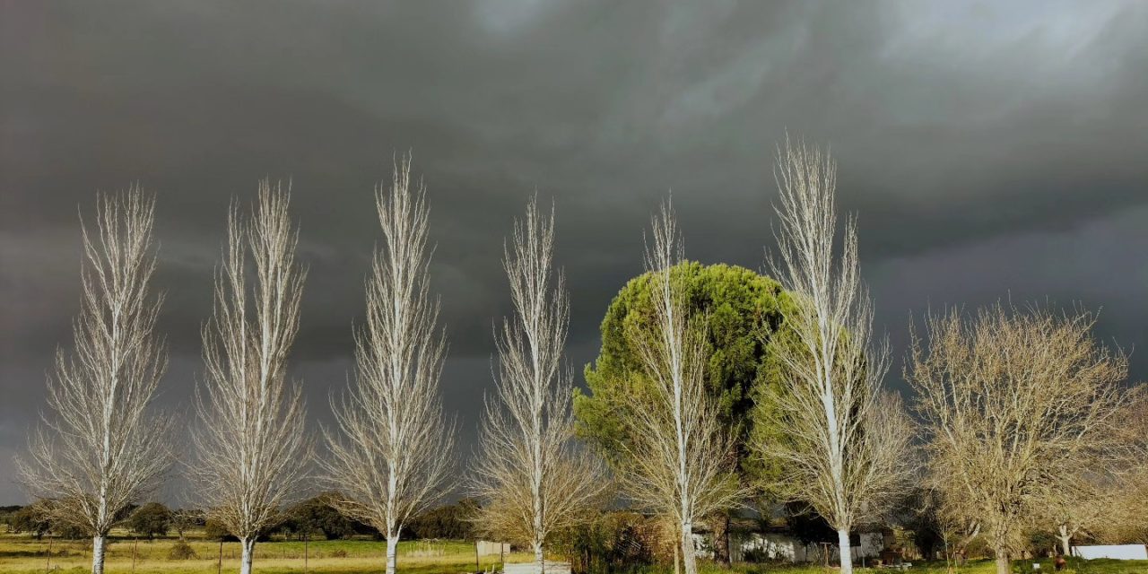 Las mejores imágenes del 2025