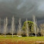 Las mejores imágenes del 2025